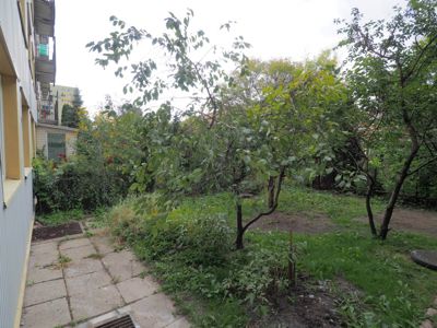 Pokój nr 5, Waszyngtona 24 — pokój