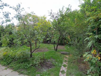 Pokój nr 5, Waszyngtona 24 — pokój